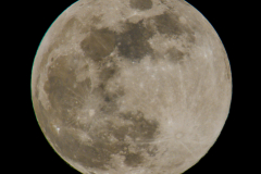 IMG_1555_lapl5_ap60985-2