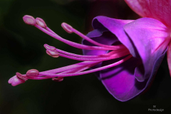 K1600_2020-05-06-20.07.24-ZS-PMax