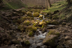 K1600_IMG_2369
