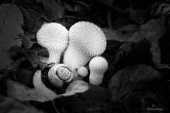 K1600_IMG_5701