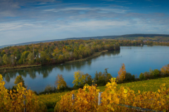 K1600_IMG_5884-Pano