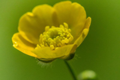 K1600__MG_5394