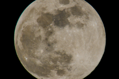 IMG_1555_lapl5_ap60985-2