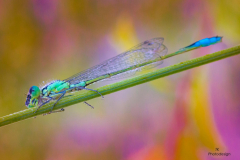 K1600_2021-04-30-13-54-54-CSmoothing1