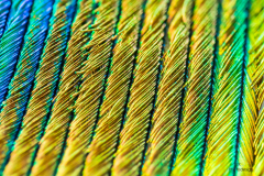 K1600_2021-04-30-17-20-51-CSmoothing2