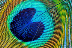 K1600_2021-04-30-17-26-09-CSmoothing2