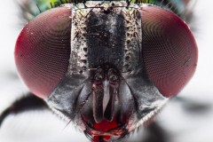 K1600_2021-04-30-17-54-12-CSmoothing2