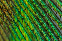 K1600_2021-04-30-18-05-40-CSmoothing2