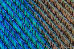 K1600_2021-04-30-18-08-38-CSmoothing2