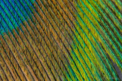 K1600_2021-04-30-18-09-46-CSmoothing2