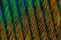 K1600__MG_9737
